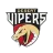 Desert Vipers