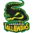 Jamaica Tallawahs