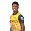 Dilshan Madushanka