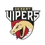 Desert Vipers