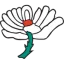 Yorkshire