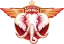 Manchester Super Giants
