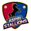 Aspin Stallions
