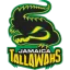 Jamaica Tallawahs