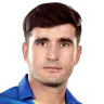 Amir Hamza