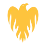Wellington Firebirds
