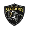 Tallinn Stallions